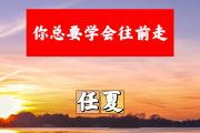 你总要学会往前走简谱 任夏《你总要学会往前走》简谱+动态视频A调