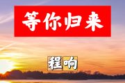 等你归来简谱 程响《等你归来》简谱+动态视频B调