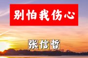别怕我伤心简谱 张信哲《别怕我伤心》简谱+动态视频升C调