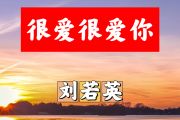 很爱很爱你简谱 刘若英《很爱很爱你》简谱+动态视频F调