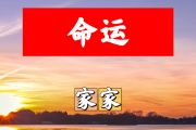 命运简谱 家家-命运简谱+动态视频升F调