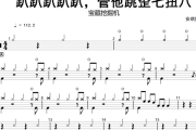 宝藏挖掘机-《姐姐》徐林《Dancing Par趴趴趴趴趴，管他跳歪七扭八》架子鼓|爵士鼓|鼓谱+动态视频
