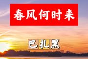 春风何时来简谱 巴扎黑《春风何时来》简谱+动态视频