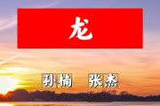 龙简谱 孙楠 张杰《龙》简谱+动态视频A调