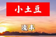 小土豆简谱 凌丰《小土豆》简谱+动态视频降B调