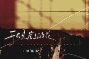 开在悬崖上的花鼓谱 就是南方凯-开在悬崖上的花(弹唱版)架子鼓|爵士鼓|鼓谱+动态视频
