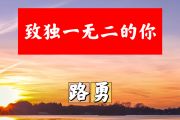 致独一无二的你简谱 路勇《致独一无二的你》简谱+动态视频G调