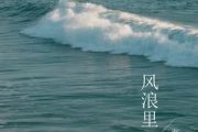 风浪里简谱 张良成《风浪里》简谱#C调