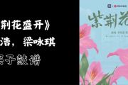 紫荆花盛开鼓谱 李荣浩，梁咏琪《紫荆花盛开》架子鼓|爵士鼓|鼓谱