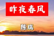 昨夜春风简谱 陈瑞《昨夜春风》简谱+动态视频A调