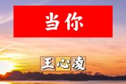 当你简谱 王心凌-当你简谱+动态视频 318鼓谱