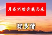 月亮不曾奔我而来简谱 好多倩《月亮不曾奔我而来》简谱+动态视频降E调