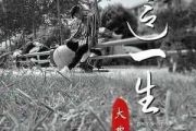 这一生简谱 大欢《这一生》简谱E调