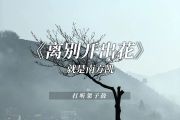 离别开出花鼓谱 就是南方凯《离别开出花》(弹唱版)架子鼓|爵士鼓|鼓谱+动态视频