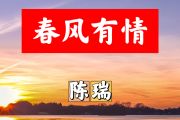 春风有情简谱 陈瑞《春风有情》简谱+动态视频C调