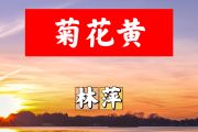 菊花黄简谱 林萍《菊花黄》简谱+动态视频降B调