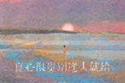 真心很贵别逢人就给吉他谱 任夏-真心很贵别逢人就给C调指法编配弹唱谱