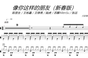 陈楚生/王栎鑫/王铮亮/陆虎/苏醒Allen《像你这样的朋友》(新春版)架子鼓|爵士鼓|鼓谱+动态视频
