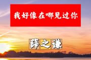 我好像在哪见过你简谱 薛之谦《我好像在哪见过你》简谱