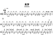 真梦鼓谱 九宝乐队《真梦》架子鼓|爵士鼓|鼓谱+动态视频