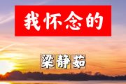我怀念的简谱 梁静茹《我怀念的》简谱E调