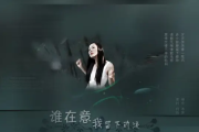 谁在意我流下的泪简谱 蒋雪儿《谁在意我流下的泪》简谱C调