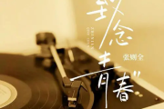 致念青春吉他谱 张则全《致念青春》六线谱C调吉他谱