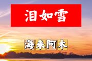 泪如雪简谱 海来阿木《泪如雪》简谱+动态视频E调