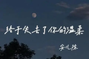 终于失去了你的温柔简谱 安儿陈《终于失去了你的温柔》简谱C调