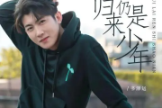 归来，仍是少年吉他谱 书泽运《归来，仍是少年》六线谱|吉他谱C调