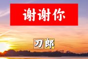 谢谢你简谱 刀郎《谢谢你》简谱+动态视频升F调