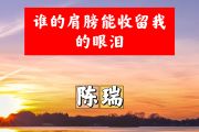 谁的肩膀能收留我的眼泪简谱 陈瑞《谁的肩膀能收留我的眼泪》简谱+动态视频C调