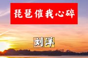 琵琶催我心简谱 刘洋《琵琶催我心》简谱+动态视频B调
