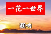一花一世界简谱 程响《一花一世界》简谱+动态视频D调