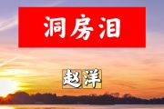 洞房泪简谱 赵洋《洞房泪》简谱+动态视频G调