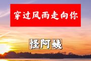 穿过风雨走向你简谱 怪阿姨《穿过风雨走向你》简谱+动态视频C调