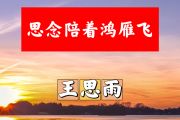 思念陪着鸿雁飞简谱 王思雨《思念陪着鸿雁飞》简谱+动态视频A调