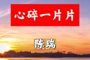 心碎一片片简谱 陈瑞《心碎一片片》简谱+动态视频F调