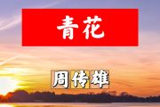 青花简谱 周传雄《青花》简谱