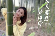 天天都想梦见你吉他谱 胡蜜丹《天天都想梦见你》六线谱C调指法编配