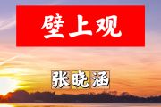 壁上观简谱 张晓涵《壁上观》简谱+动态视频