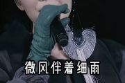 微风细雨鼓谱 王菲《微风细雨》(live)架子鼓|爵士鼓|鼓谱
