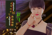痴情的我犯下痴情的错吉他谱 赵洋-痴情的我犯下痴情的错G调指法编配六线谱