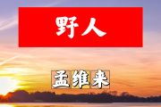 野人简谱 孟维来《野人》简谱+动态视频D调
