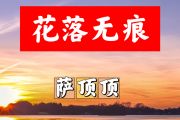 花落无痕简谱 萨顶顶《花落无痕》简谱+动态视频