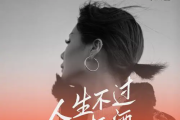 人生不过三杯酒吉他谱 花姐-人生不过三杯酒六线谱A调