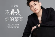 不再是你的某某简谱 石金城《不再是你的某某》简谱E调