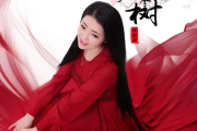 红枣树吉他谱 任妙音《红枣树》六线谱C调吉他谱