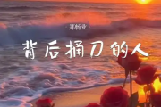 背后捅刀的人吉他谱 郑畅业《背后捅刀的人》六线谱G调吉他谱