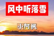 风中听落雪简谱 小阿枫《风中听落雪》简谱+动态视频A调
